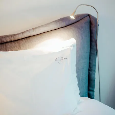 Heirloom - A Flemish Tale Casa de hóspedes